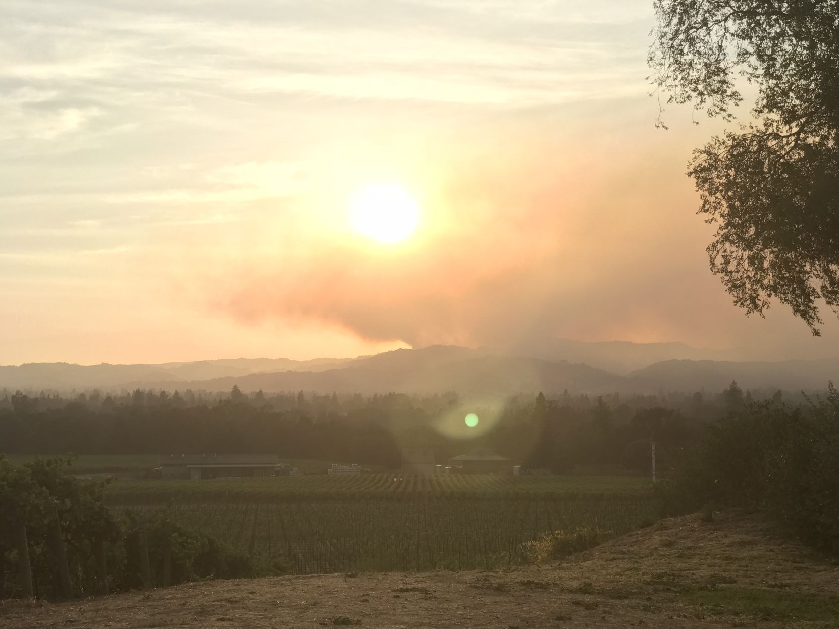 Napa County wildfires